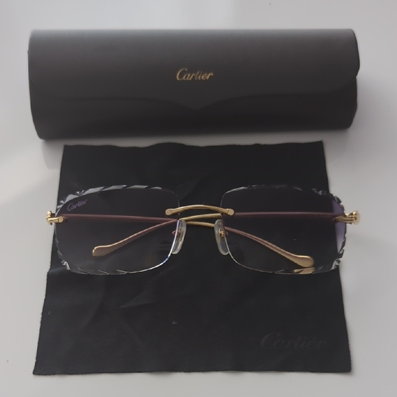 Cartier Unisex Gold Frame Sunglasses with Dark Lenses - Picture 4 of 5